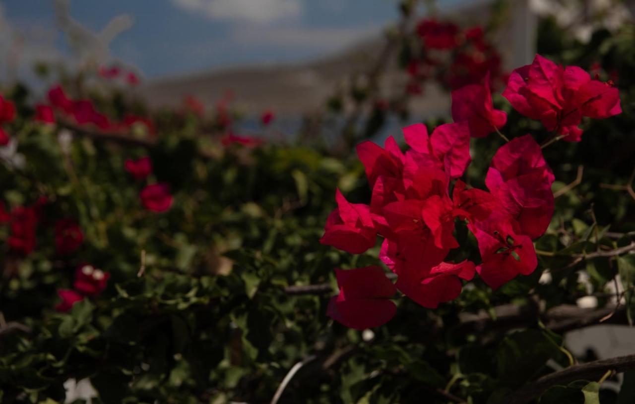 Ornella'S & Laura'S Secret Place Livadia  エクステリア 写真